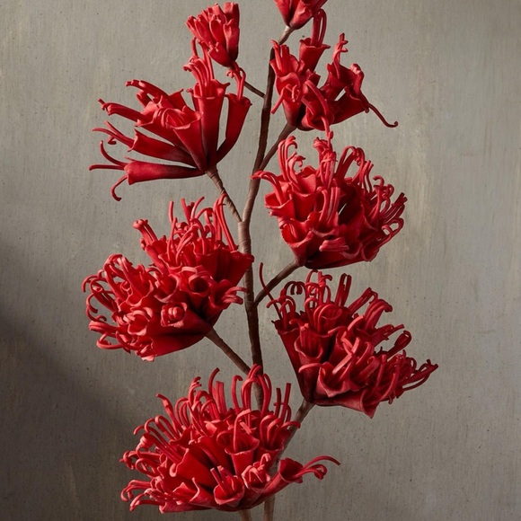 Sundance Other - Sundance Currant Bountiful Botanicals Extra Large Floral Stem